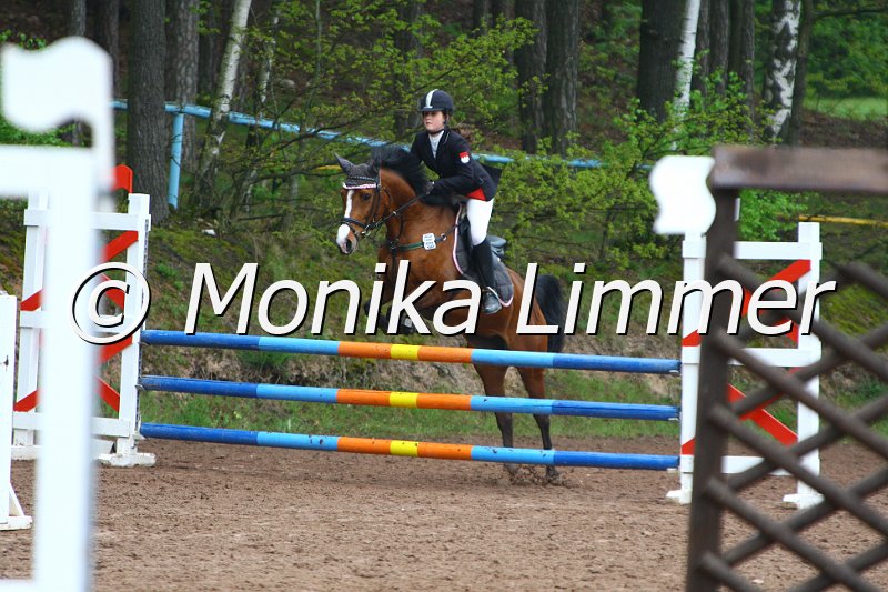 005L4990_Spring  Ax.JPG